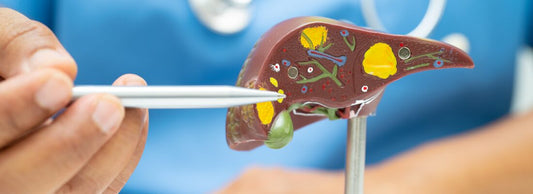 Doença hepática gordurosa não alcoólica: a doença silenciosa do metabolismo moderno