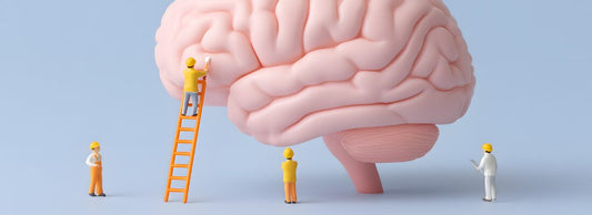 Neuroplasticidade: como seu cérebro pode se regenerar e se fortalecer